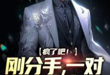 疯了吧!刚分手,一对萌宝找上门江林慕云歌在线章节免费阅读-艾米文学