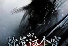 主角叫凌清风小说啥?你管这个穿布衣的叫剑仙章节免费阅读-艾米文学