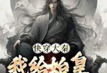 快穿大秦：我给始皇当左相秦牧小说在线章节目录阅读最新章节-艾米文学