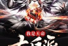 寻找能够免费阅读我是天命大反派小说的平台-艾米文学