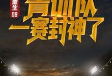 重生08：青训队一赛封神了这本小说怎么样？免费在线阅读试试-艾米文学