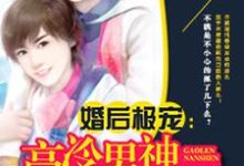 乔灵溪陆修远是哪本书的主角?高冷男神萌萌爱免费读-艾米文学