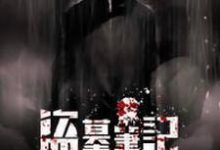 盗墓笔记之寻仙小说完结版章节免费阅读-艾米文学