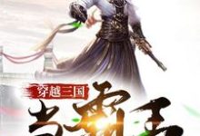 求穿越三国当霸王小说免费资源-艾米文学