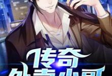 传奇外卖小哥小说的免费电子版在哪里可以下载或阅读？-艾米文学