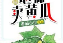 李牧小田小说叫什么（开局地摊卖黄瓜免费阅读）-艾米文学
