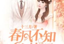 完结版《春风不知你情深》章节阅读-艾米文学