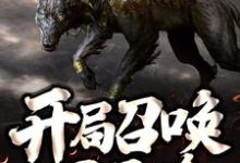 寻找开局召唤一只二哈小说的最新更新章节-艾米文学