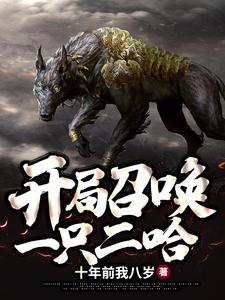 寻找开局召唤一只二哈小说的最新更新章节