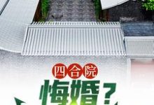 四合院:悔婚?感谢不嫁之恩刘光齐小说在线章节目录阅读最新章节-艾米文学