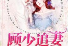 求宁珂顾予修穆婷婷小说免费资源-艾米文学