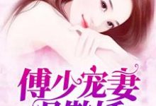 完结版《傅少宠妻很傲娇》章节目录在线阅读-艾米文学