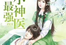 最强小神医小说，最强小神医叶尘莫云苏若雪燕子-艾米文学