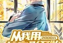 萧剑辰刘衣菲小说《从我用2000元拍电影开始》在线阅读-艾米文学