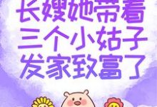 主人公邱秋圆圆吴雪小说长嫂她带着三个小姑子发家致富了在线章节阅读-艾米文学