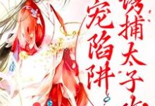 已完结小说《甜宠陷阱:诱捕太子攻略》章节免费阅读-艾米文学