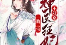 顾倾慕容羽小说叫什么(一胎三宝:神医狂妃不好惹免费阅读)-艾米文学