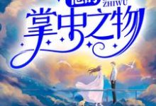 他的掌中之物小说最新章节在哪里可以读到？-艾米文学