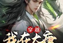 李慎的完整故事在哪里?读穿越:我在大唐当闲王小说-艾米文学