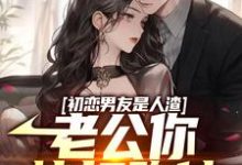 在线寻找江明楚无双的小说,初恋男友是人渣,老公你快打跑他免费阅读-艾米文学
