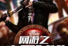 已完结小说《网游之高手时代》章节在线阅读-艾米文学