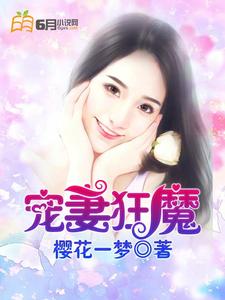 求宠妻狂魔小说免费资源