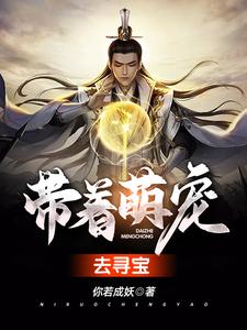 在线搜索黎念宋城朱雀加宁的完整小说，免费阅读带着萌宠去寻宝