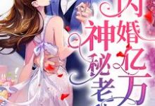 闪婚亿万神秘老公小说有没有完结版在线？-艾米文学