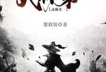 已完结小说《武林第一》最新章节-艾米文学