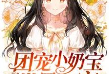 夏沅沅墨尧宁熙宁楚遇的完整故事在哪里？读团宠小奶宝是世界首富小说-艾米文学
