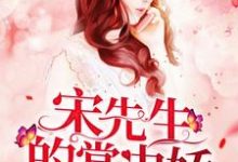 宋先生的掌中娇这本小说在哪里可以看?哪里有免费试读章节?-艾米文学