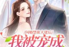 历承泽苏嘉言小说《闪婚禁欲大佬后,我被宠成高岭之花》在线阅读-艾米文学