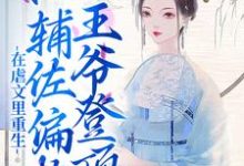 宋清荷纳兰琰为主角的小说叫什么？免费看在虐文里重生，她辅佐偏执王爷登顶-艾米文学