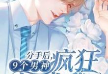 分手后，9个男神疯狂追求我小说，分手后，9个男神疯狂追求我在线阅读-艾米文学