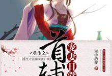 想读伊若涵凤易阳凤盛澜的故事,哪里可以免费找到重生之首辅宠妻日常?-艾米文学