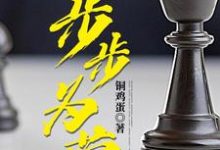 哪里能找到步步为营小说的最新更新和免费章节？-艾米文学