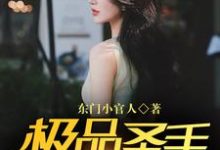 已完结小说《极品圣手在都市》最新章节-艾米文学