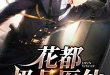 叶欢苏婉儿为主角的小说好看吗？免费读花都极品医仙-艾米文学