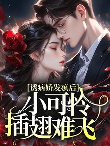 求苏沐傅泽谦小说免费资源