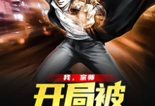完结版《我，宗师，开局被直播曝光》在线免费阅读-艾米文学