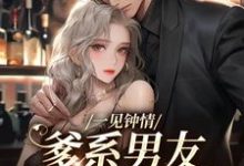 一见钟情，爹系男友总想和我亲亲免费阅读，一见钟情，爹系男友总想和我亲亲贺南州沈慕初-艾米文学