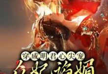 《穿成明君心尖宠，众妃谄媚我开摆》全集免费在线阅读（英琼楼赵无眠）-艾米文学