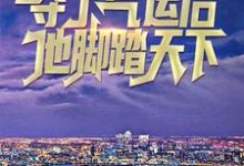 小说《夺了气运后,他脚踏天下》章节免费阅读-艾米文学
