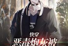 时安的故事在哪本书里？免费阅读快穿：恶毒炮灰被疯批们强制爱了-艾米文学