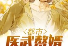 免费在线阅读都市医武赘婿小说的正规网站有哪些?-艾米文学