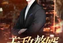 小说《无敌赘婿》在线章节阅读-艾米文学