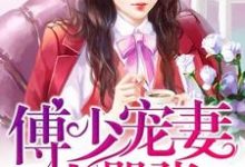 哪里能找到傅少宠妻太嚣张小说的全部章节？-艾米文学