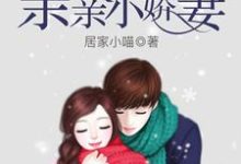 安歌陆乔琛陆宝贝为主角的小说好看吗?免费读Boss凶猛之床咚小娇妻-艾米文学