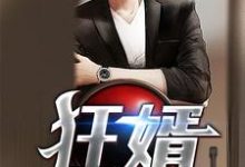 狂婿小说,狂婿免费阅读-艾米文学