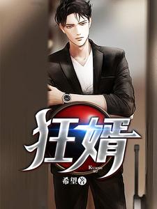 狂婿小说，狂婿免费阅读